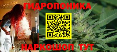 шишки Малгобек