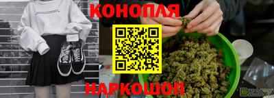 шишки Малгобек