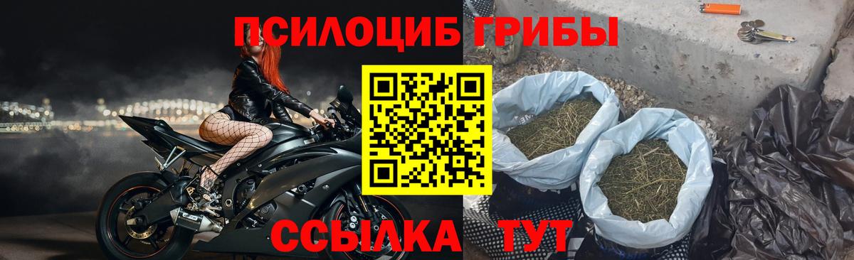 Псилоцибиновые грибы мухоморы  Галлюциногенные грибы Psilocybine cubensis  Вход с VPN  Алушта 